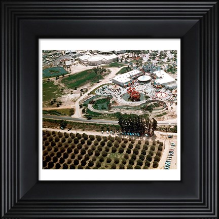 Framed Disneyland and Orange Groves, 1955 Print