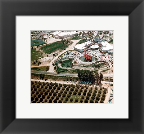 Framed Disneyland and Orange Groves, 1955 Print