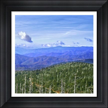 Framed Great Smoky Mountains Print