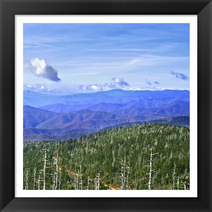 Framed Great Smoky Mountains Print