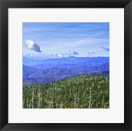 Framed Great Smoky Mountains Print