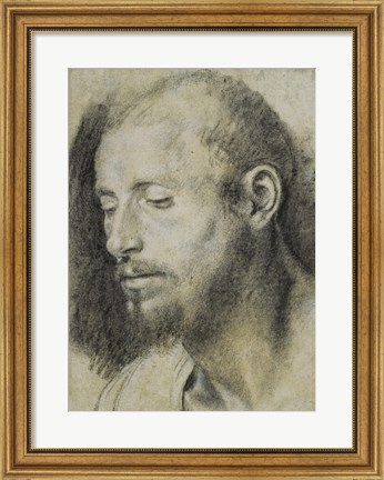 Framed Study of the Head of a Bearded Man Print