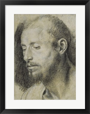 Framed Study of the Head of a Bearded Man Print