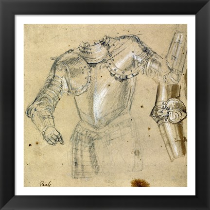 Framed Studies of Armor Print