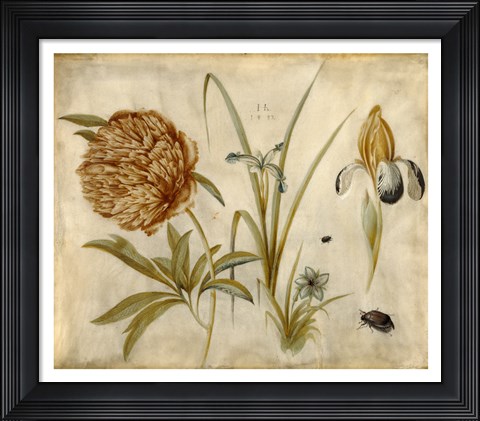Framed Flowers and Beetles Print