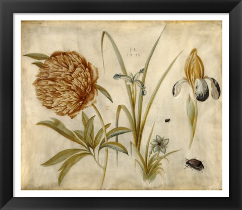 Framed Flowers and Beetles Print