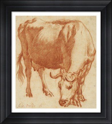 Framed Cow Grazing Print