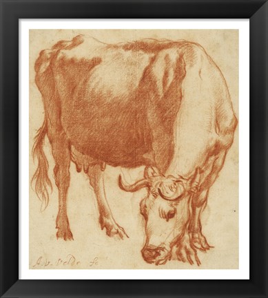 Framed Cow Grazing Print