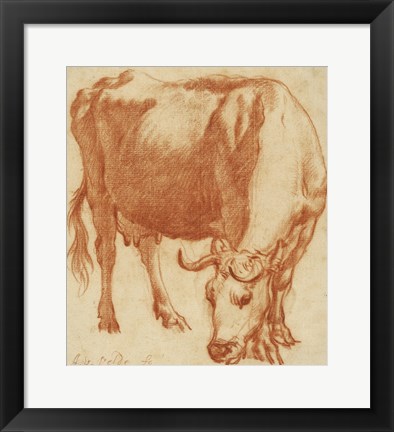 Framed Cow Grazing Print