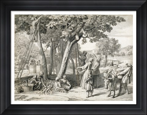 Framed Apple Harvest Print
