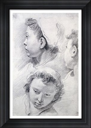 Framed Three Studies of the Head of a Youth Print