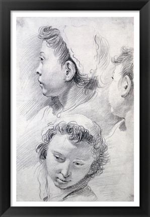 Framed Three Studies of the Head of a Youth Print