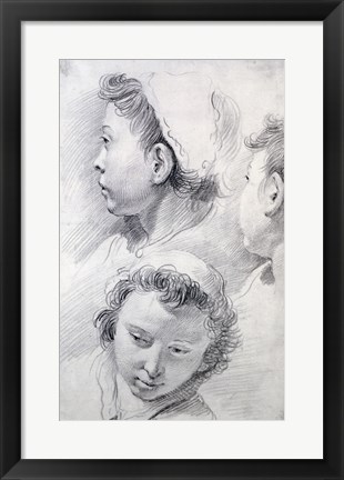 Framed Three Studies of the Head of a Youth Print