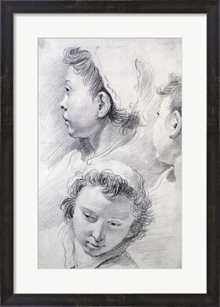 Framed Three Studies of the Head of a Youth Print