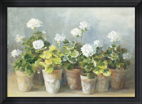 Framed White Geraniums Print