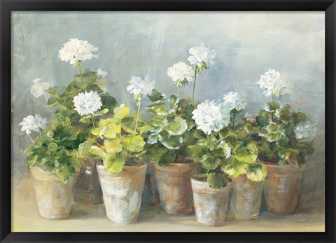 Framed White Geraniums Print