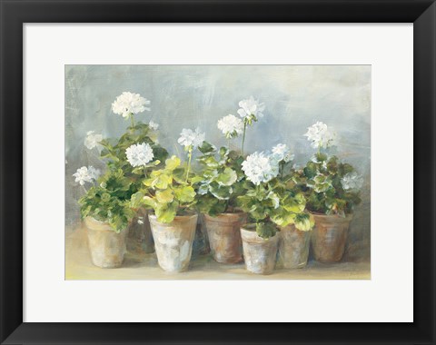 Framed White Geraniums Print