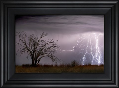 Framed Lightning Print
