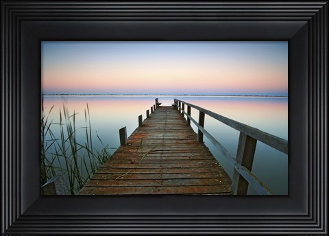 Framed Lake Kangaroo Print