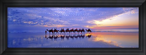 Framed Cable Beach Camels Print