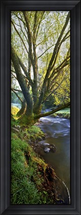 Framed Snowy Creek Vert Print