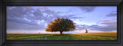 Framed Treescape Print