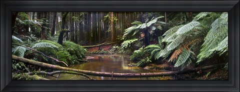 Framed Aire River Print