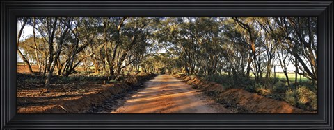 Framed Canny Road Print