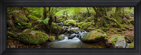 Framed Cement Creek Print