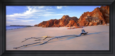 Framed Driftwood Print