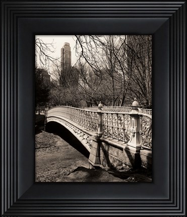 Framed Pine Bank Bridge NYC Print