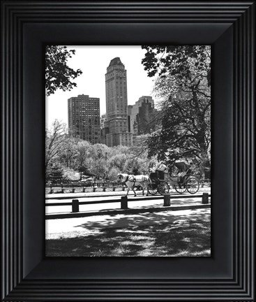Framed Carriage Print