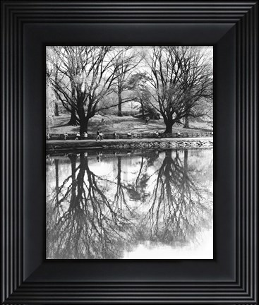 Framed Central Park Lake Print