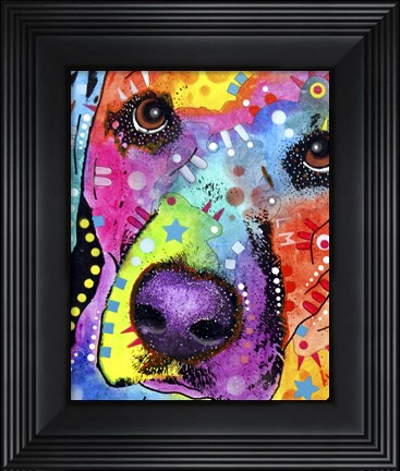 Framed Closeup Labrador Print