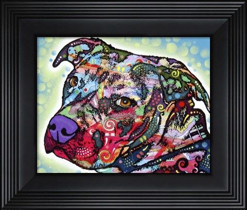 Framed Bulls Eye Print