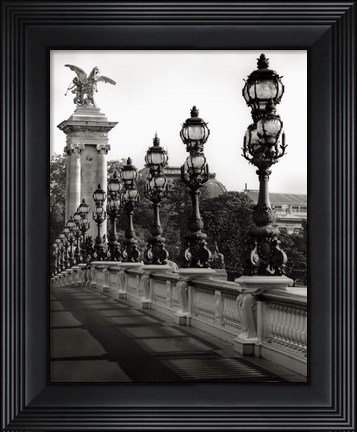 Framed Pont Alexander Print