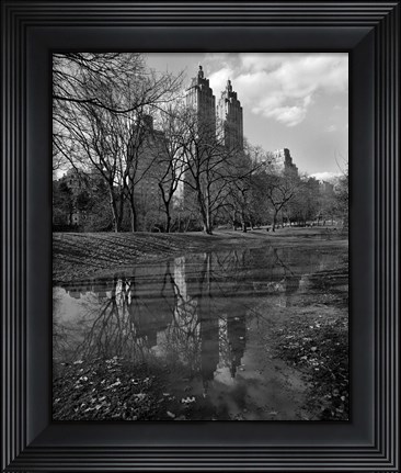 Framed Central Park Reflections Print