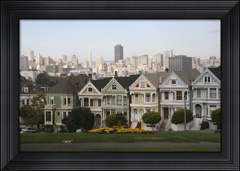 Framed Painted Ladies San Franciso 1 Print
