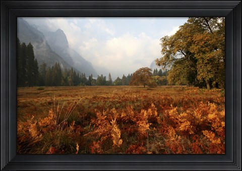Framed Meadow Print