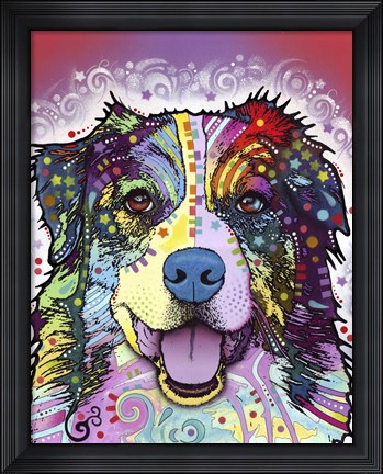 Framed Australian Shepherd Print