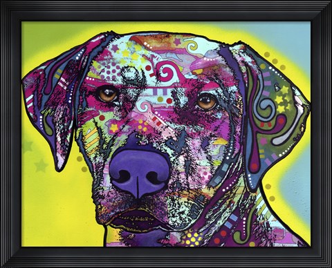 Framed Rhodesian Ridgeback Print
