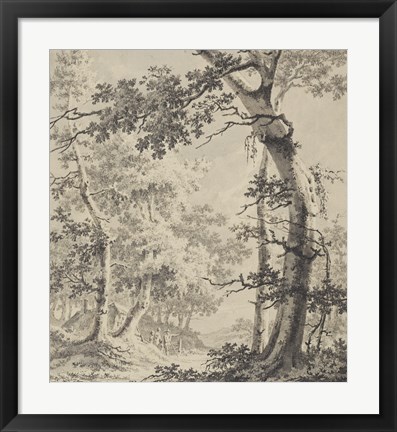 Framed Wooded Landscape Print