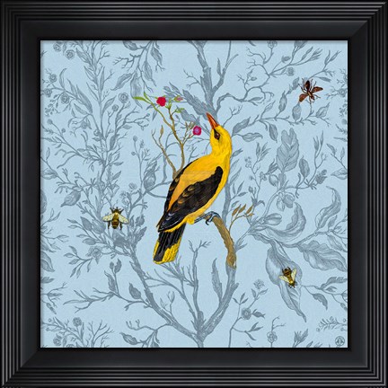 Framed Golden Oriole Print