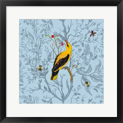 Framed Golden Oriole Print