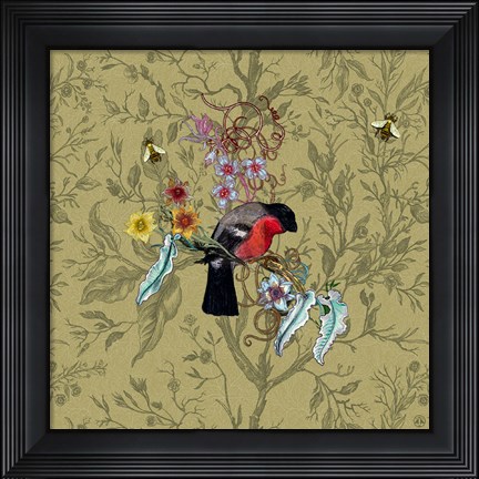Framed Bull Finch Print