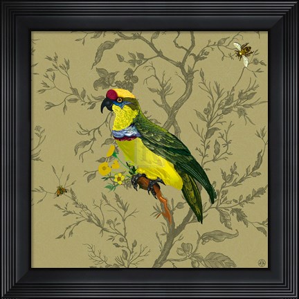 Framed Pisticule Parrot Print