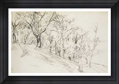 Framed Forest in Boisremond Print