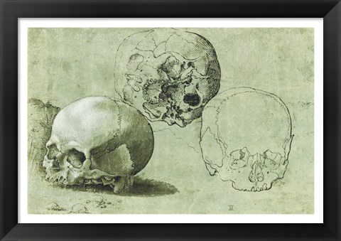 Framed Study of Three Skulls Print