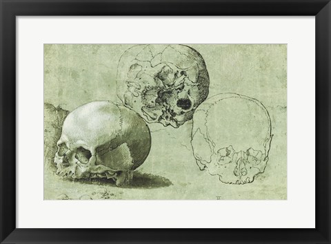 Framed Study of Three Skulls Print