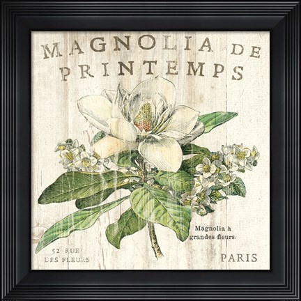 Framed Magnolia de Printemps Print